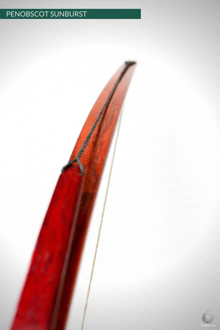 PENOBSCOT SUNBURST RED CUSTOM - Image 4