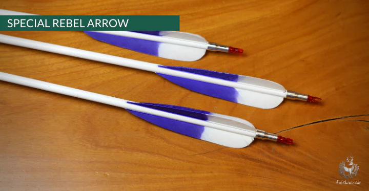 REBEL ARROWS, 4.1 INCH OR 6.2 INCH HIGH PARABOLIC FEATHERS WOODEN SHAFT PLASTIC NOCK SET OF 6 - Image 6